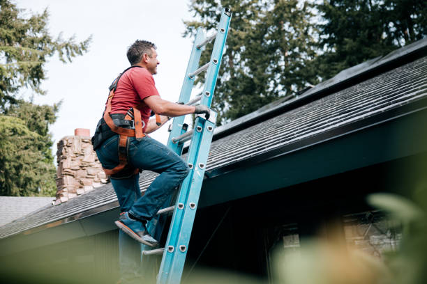 Best Roof Moss and Algae Removal  in Keowee Key, SC
